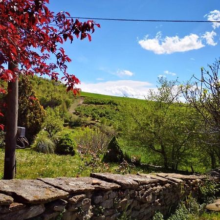 Agriturismo Locanda Dei Cacciatori Dogliani Kültér fotó